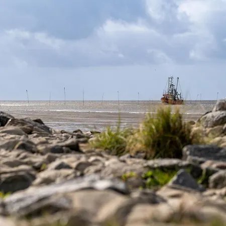 Käthi Mellumplate 16 Ferienhaus *